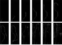 5_contactsheet-010-2.jpg